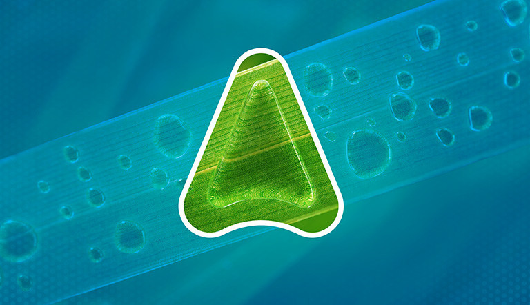 Fungicide