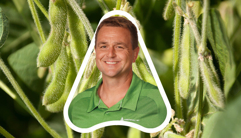 Drew - Soybean Article Header