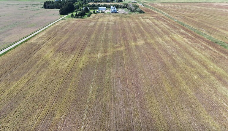 Post harvest image