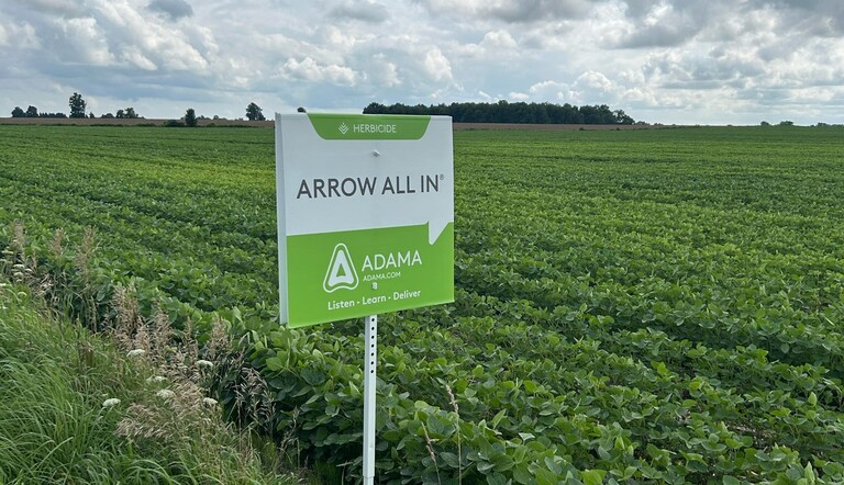 Arrow all in - soybeans