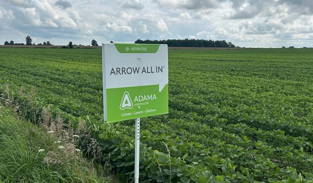 Arrow all in - soybeans