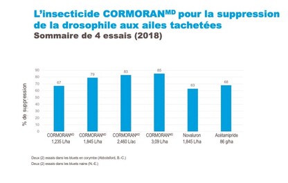 Drosophile aux ailes tachetées