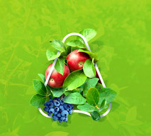 Fruits & Vegetable Web Banner