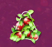 Apple Banner Image