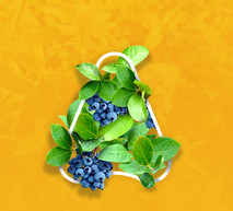 Blueberry Banner