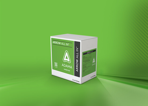 Website-Homepage-Image-2024-Arrow-All-IN