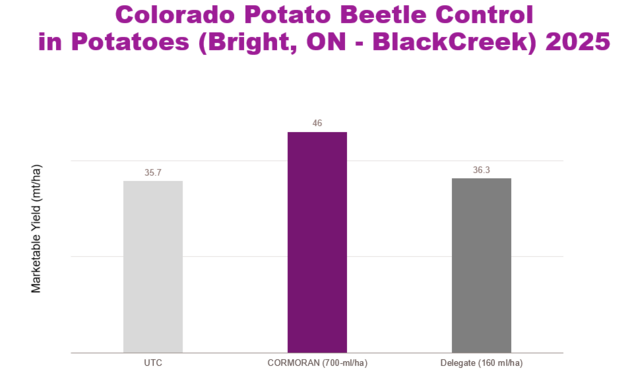 Cormoran yield results