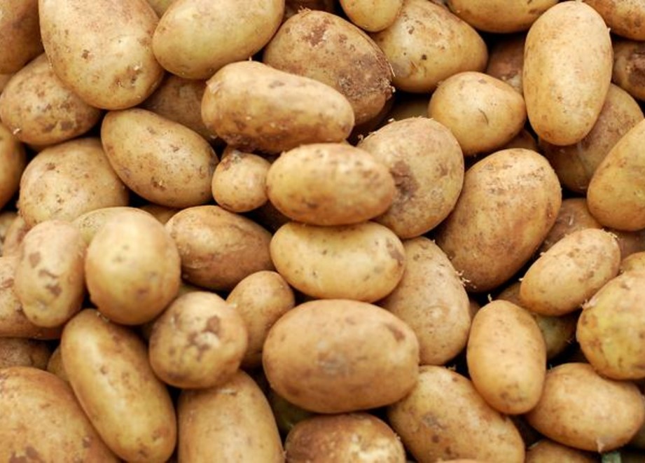 Potatoes