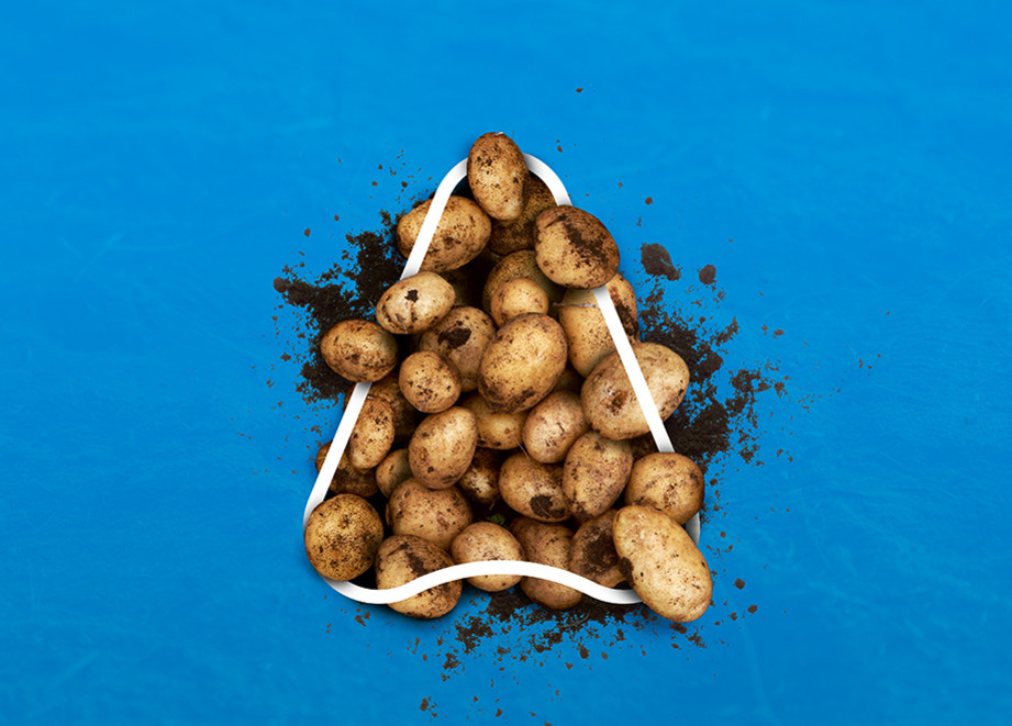 Potato Web banner