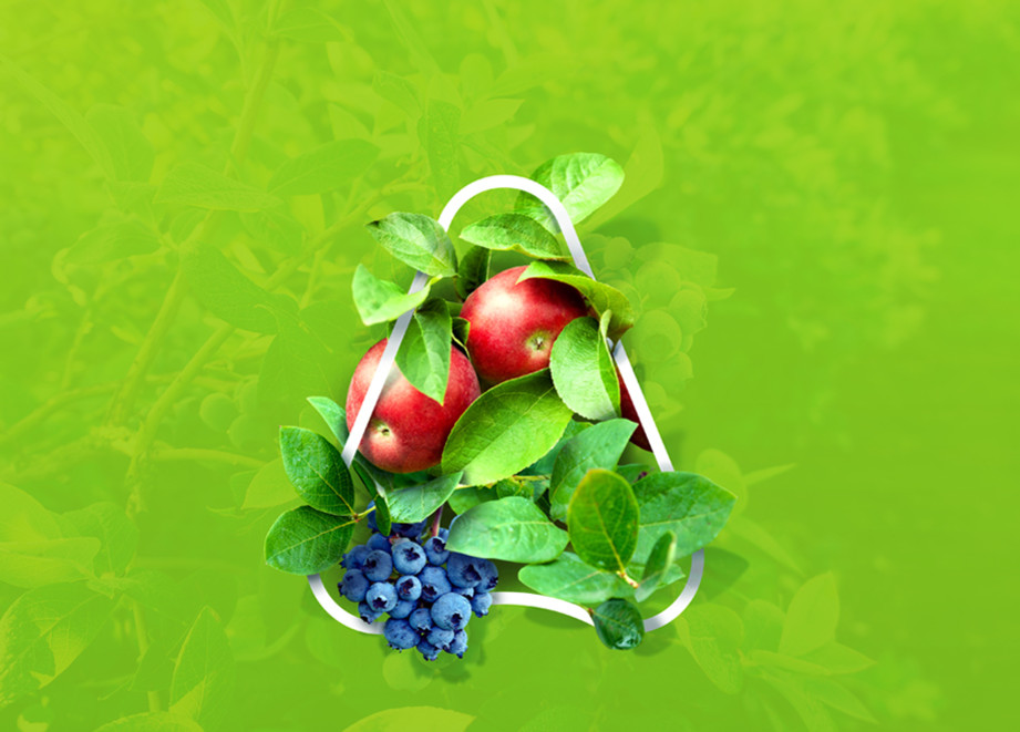 Fruits & Vegetable Web Banner