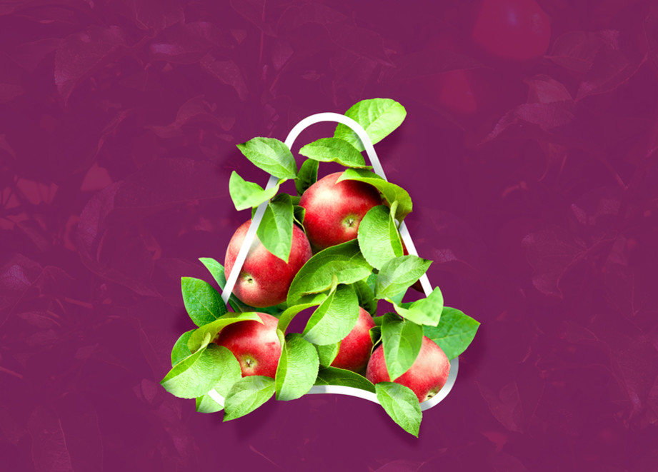 Apple Banner Image