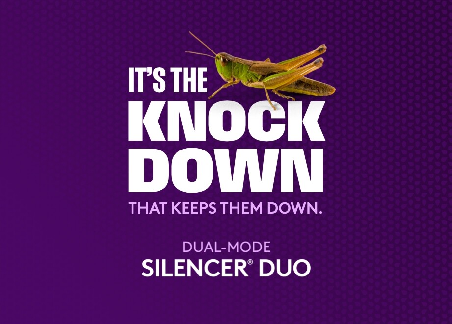 Silencer duo