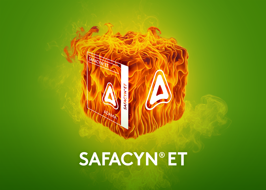 Homepage SAFACYN