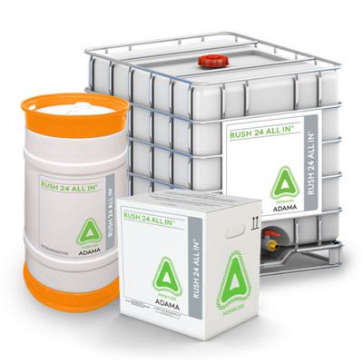 Rush 24 All In Product Group