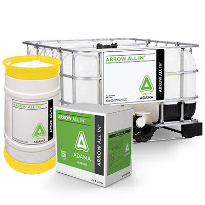 Arrow All in Product Image