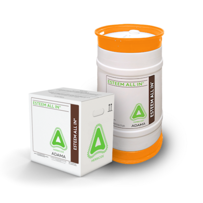 Esteem all in product image