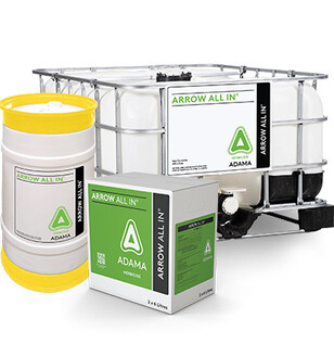 Arrow All in Product Image