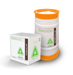 Esteem all in product image