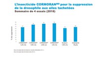 Drosophile aux ailes tachetées