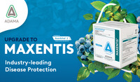 MAXENTIS Header Image
