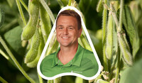Drew - Soybean Article Header