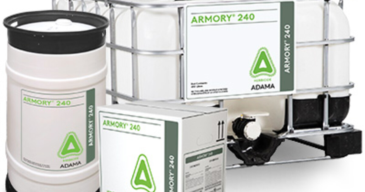 置物 addictive of green WebGraphic-2025-ARMORY-240-