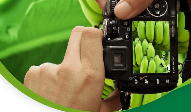 concurso foto