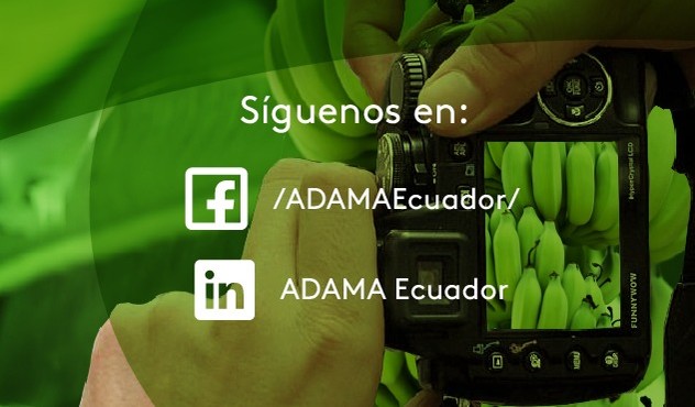 síguenos en redes