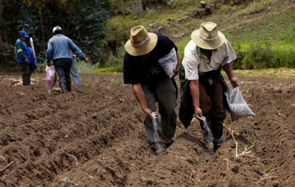 valores