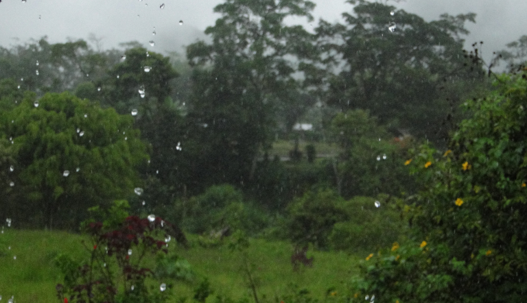 Lluvia ventana