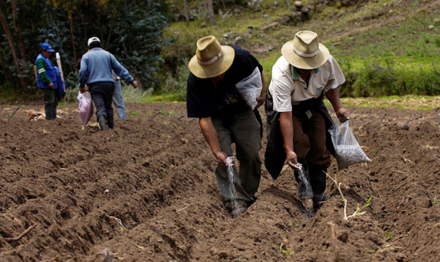 valores