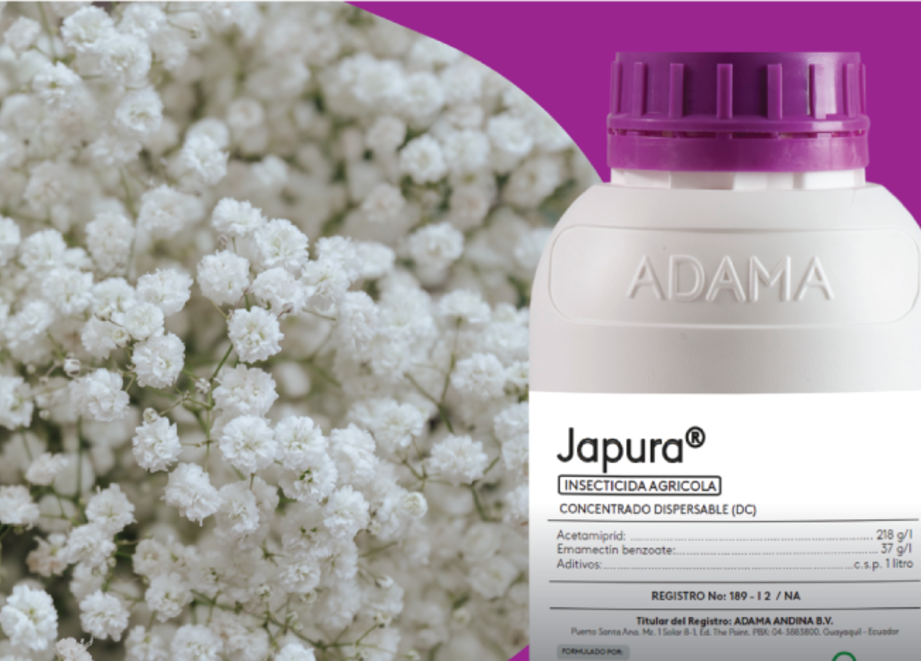 Producto Japura, control duradero