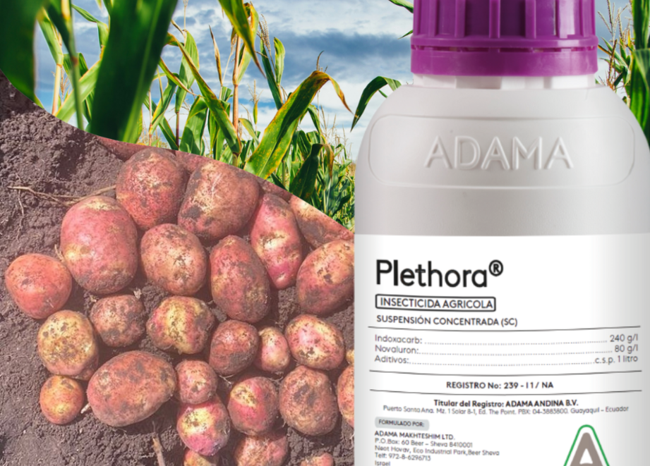 plethora banner
