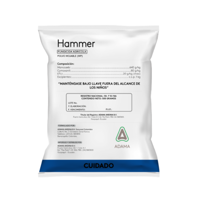 HAMMER bolsa
