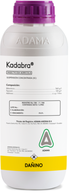 Kadabra