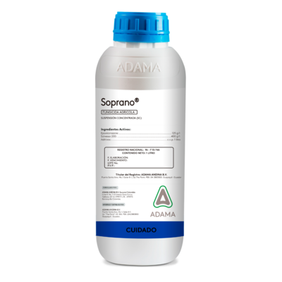 soprano