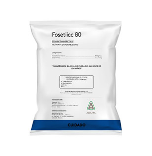 funda fosetiicc 80