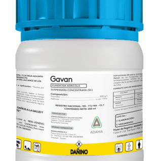 Gavan