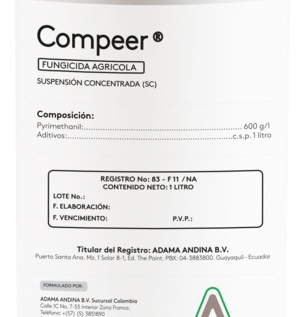 Compeer 2025