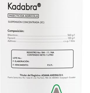 Kadabra