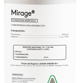 mirage