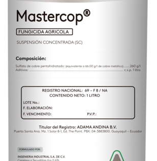 mastercop