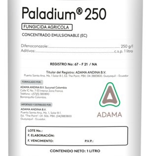 Paladium 2025