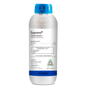 soprano