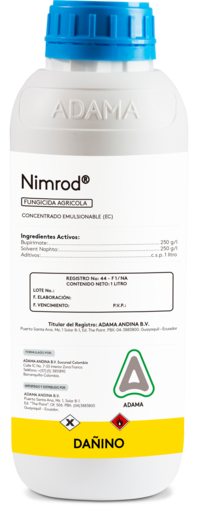Nimrod litro
