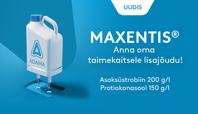 MAXENTIS_uudis_920x530