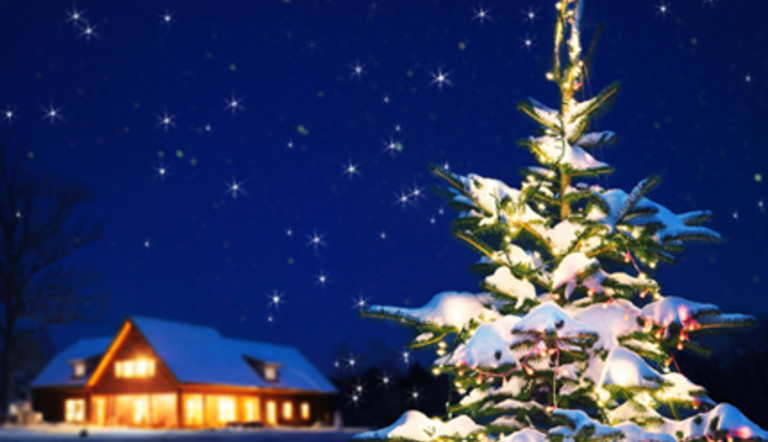 ADAMA Christmas