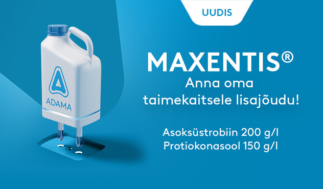 MAXENTIS_uudis_920x530