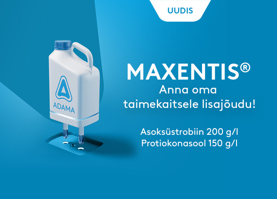 MAXENTIS_uudis_920x660.