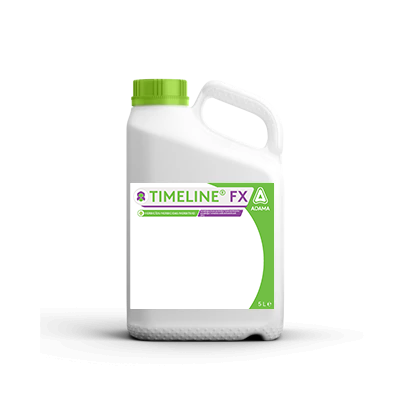 Timeline FX